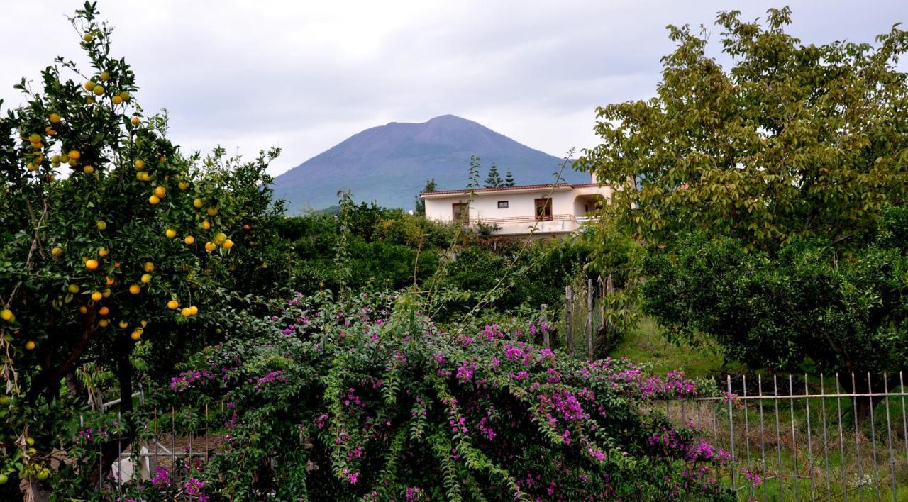 B&B Casa Di Donna Trecase ภายนอก รูปภาพ